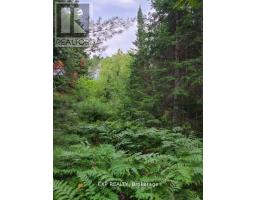 Pt Lt 8 Old Barry's Bay Road, Madawaska Valley, ON K0J1L0 Photo 10
