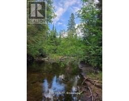 Pt Lt 8 Old Barry's Bay Road, Madawaska Valley, ON K0J1L0 Photo 12