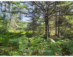 Pt Lt 8 Old Barry's Bay Road, Madawaska Valley, ON K0J1L0 Photo 13