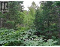 Pt Lt 8 Old Barry's Bay Road, Madawaska Valley, ON K0J1L0 Photo 14