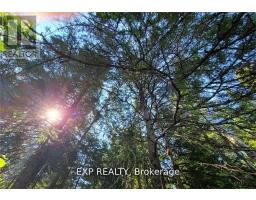 Pt Lt 8 Old Barry's Bay Road, Madawaska Valley, ON K0J1L0 Photo 15