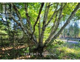 Pt Lt 8 Old Barry's Bay Road, Madawaska Valley, ON K0J1L0 Photo 16