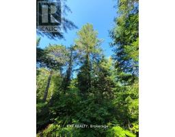 Pt Lt 8 Old Barry's Bay Road, Madawaska Valley, ON K0J1L0 Photo 7