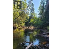 Pt Lt 8 Old Barry's Bay Road, Madawaska Valley, ON K0J1L0 Photo 8