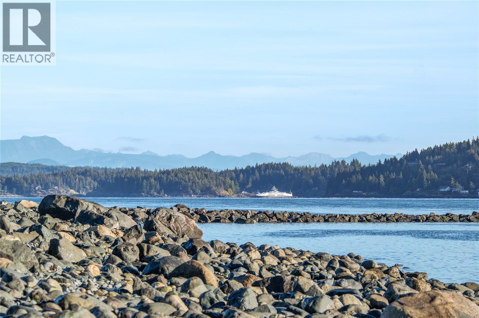 #2203 27 Island Hwy S - 32