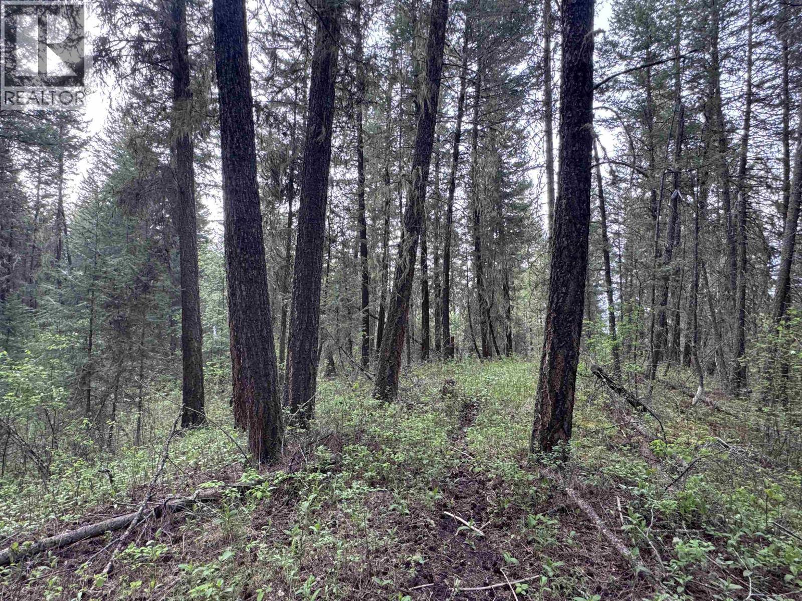 550 DOG CREEK Road - main photo