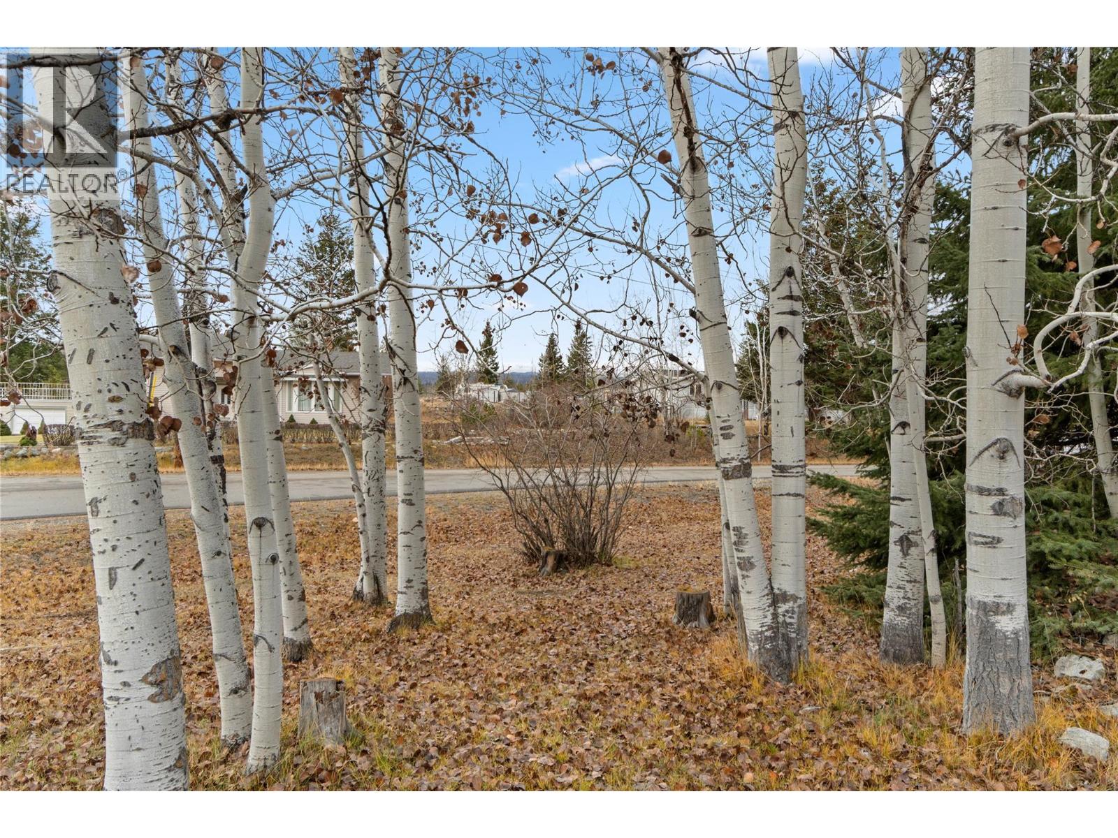 222 THRISSEL Place - Image 45