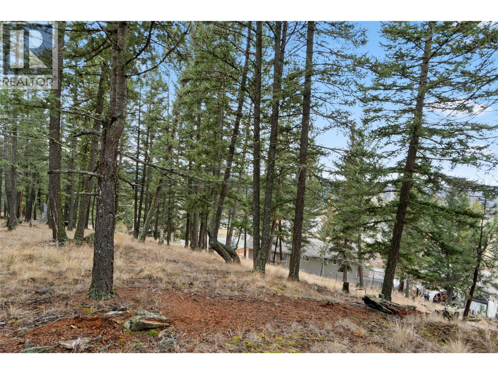 222 THRISSEL Place - 49