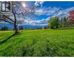 5060 Hot Springs Road, Fairmont Hot Springs, BC V0B1L1 Photo 20