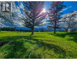 5060 Hot Springs Road, Fairmont Hot Springs, BC V0B1L1 Photo 9
