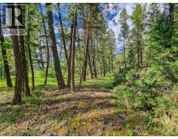 5060 Hot Springs Road, Fairmont Hot Springs, BC V0B1L1 Photo 18