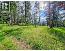 5060 Hot Springs Road, Fairmont Hot Springs, BC V0B1L1 Photo 6