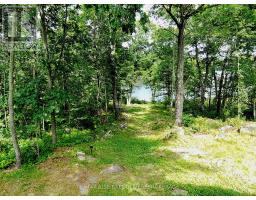 1365 Fourth Lake Road, Frontenac, ON K0H2K0 Photo 34