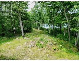 1365 Fourth Lake Road, Frontenac, ON K0H2K0 Photo 33