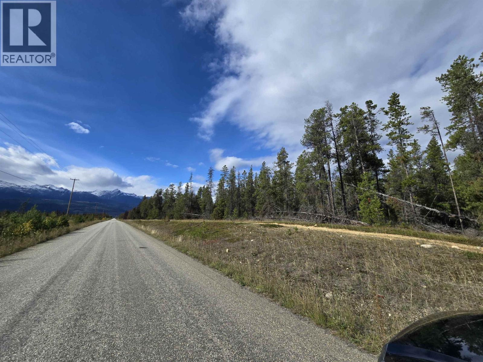 2350 BAILEY ROAD, Valemount — photo 3