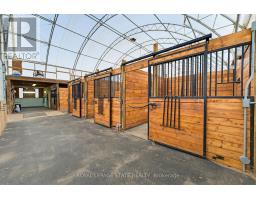 10 Huisman Lane, Hamilton, ON L8N2Z7 Photo 46
