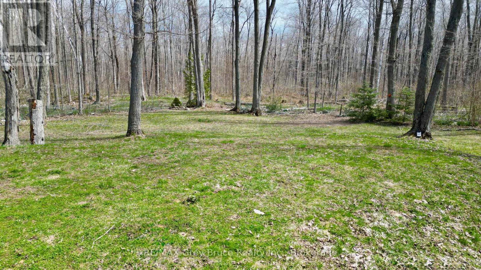 313 TAMMY'S COVE ROAD - 41
