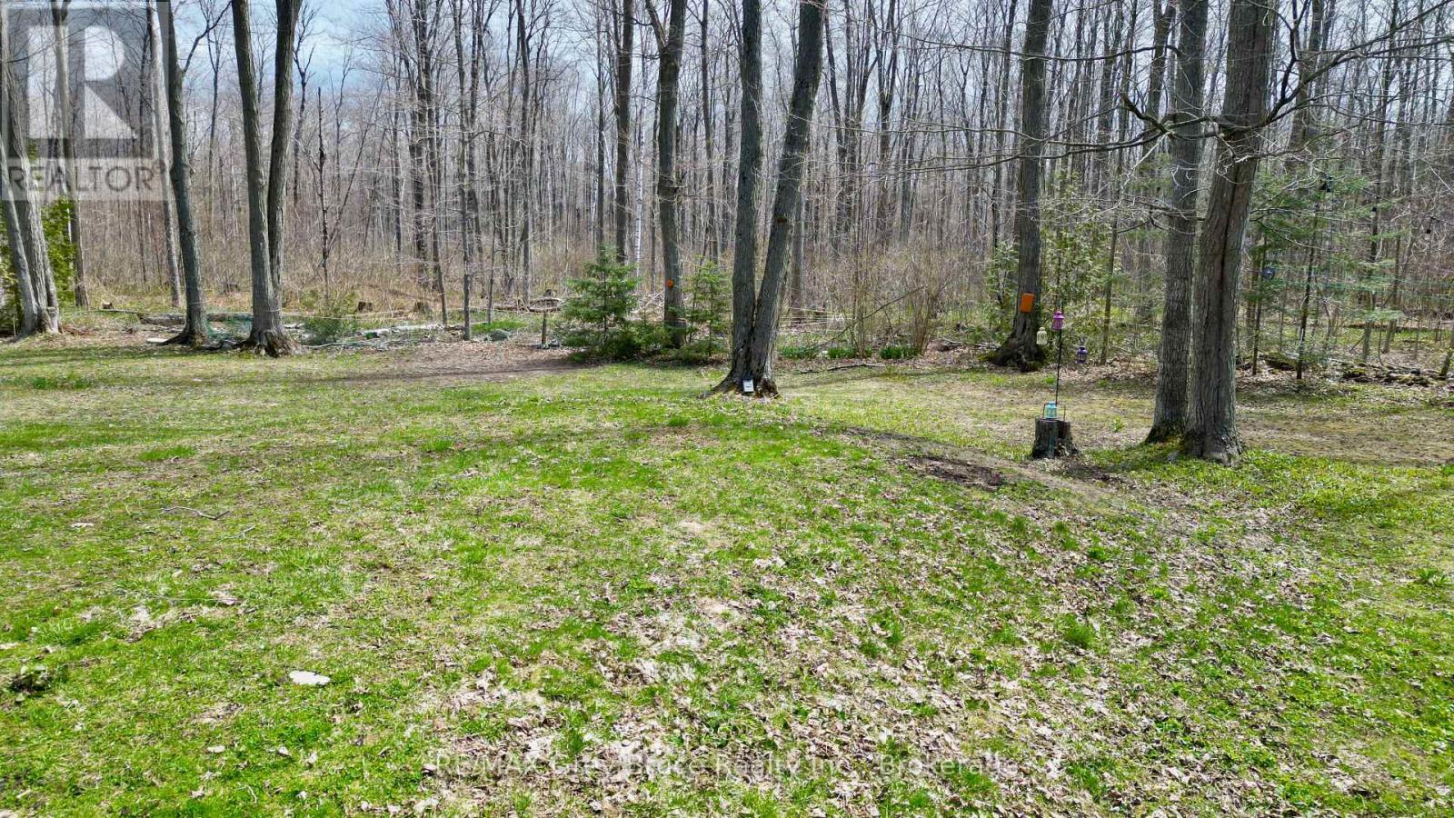313 TAMMY'S COVE ROAD - 42
