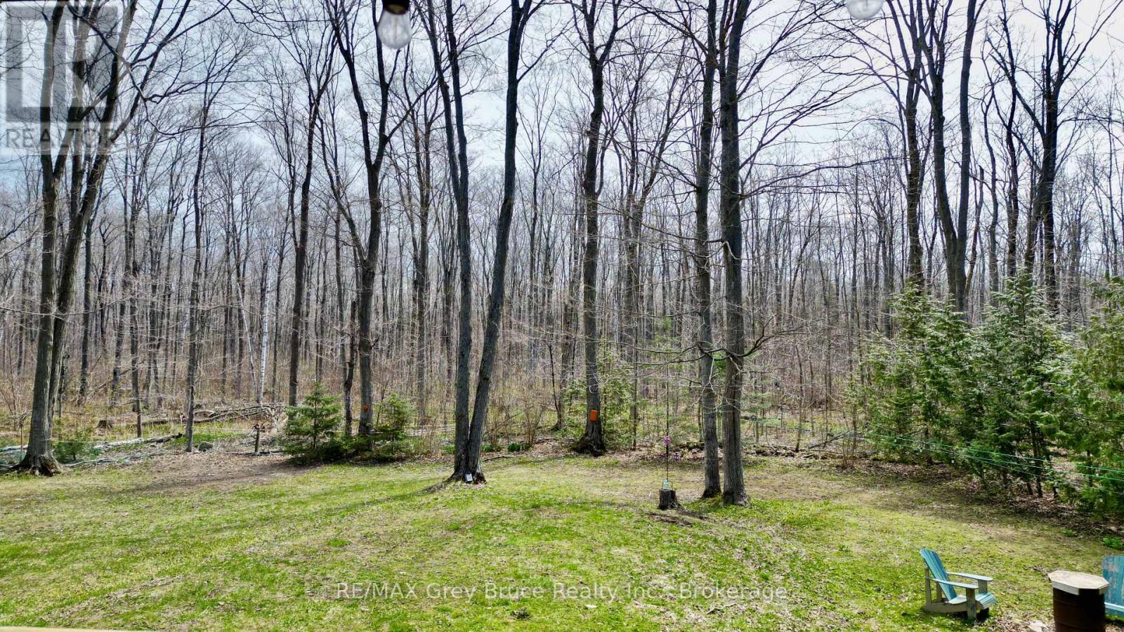 313 TAMMY'S COVE ROAD - 44