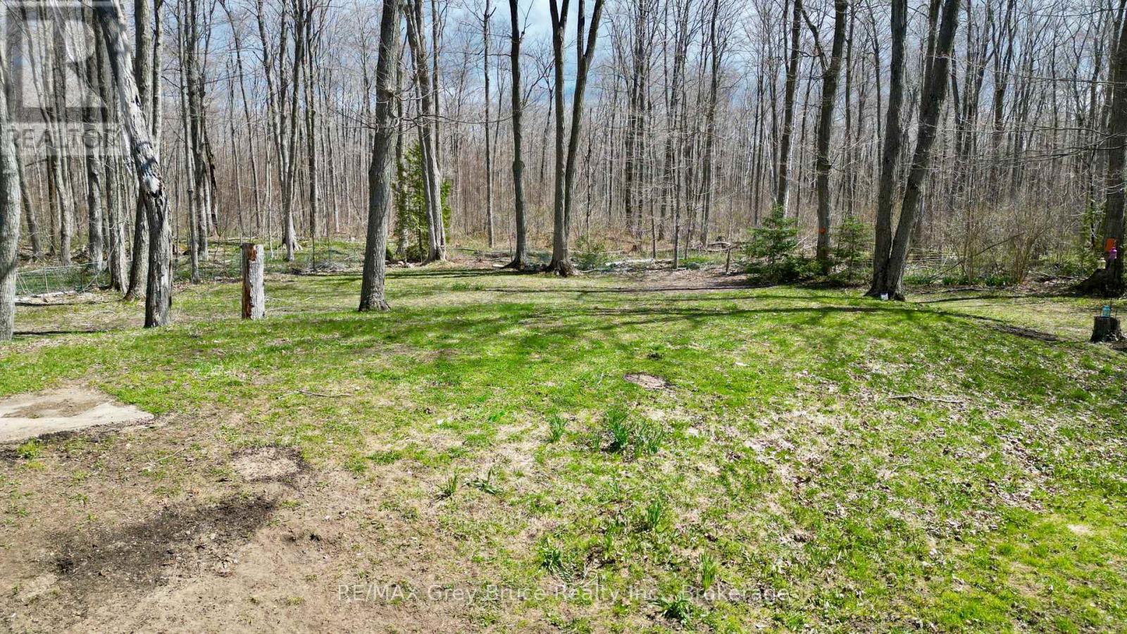 313 TAMMY'S COVE ROAD - 45