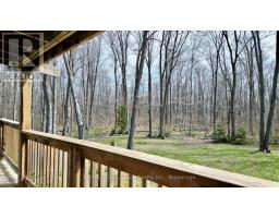 313 Tammy's Cove Road, Northern Bruce Peninsula, ON N0H1W0 Photo 45