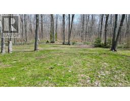 313 Tammy's Cove Road, Northern Bruce Peninsula, ON N0H1W0 Photo 16