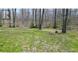 313 Tammy's Cove Road, Northern Bruce Peninsula, ON N0H1W0 Photo 38