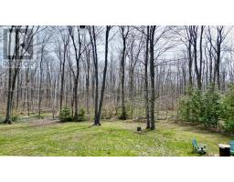 Other - 313 Tammy's Cove Road, Northern Bruce Peninsula, ON N0H1W0 Photo 11