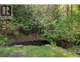D 6505 Powder Main Rd, Port Renfrew, BC V0S1K0 Photo 10