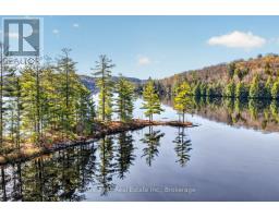 10835 Raven Lake West Shore Township, Algonquin Highlands, ON P0A1E0 Photo 10