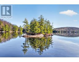 10835 Raven Lake West Shore Township, Algonquin Highlands, ON P0A1E0 Photo 7