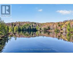 10835 Raven Lake West Shore Township, Algonquin Highlands, ON P0A1E0 Photo 9