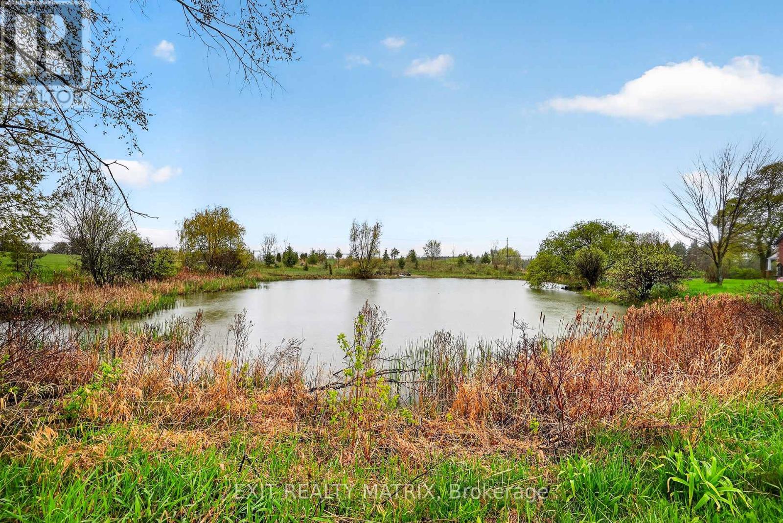 Your very own private pond: swim, paddle, skate!