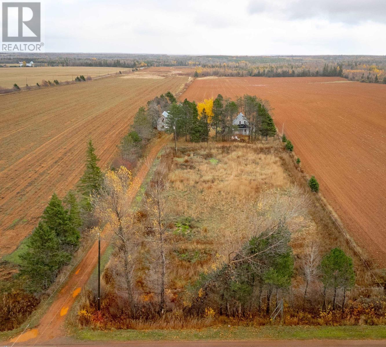 842 Strathcona Road - 5
