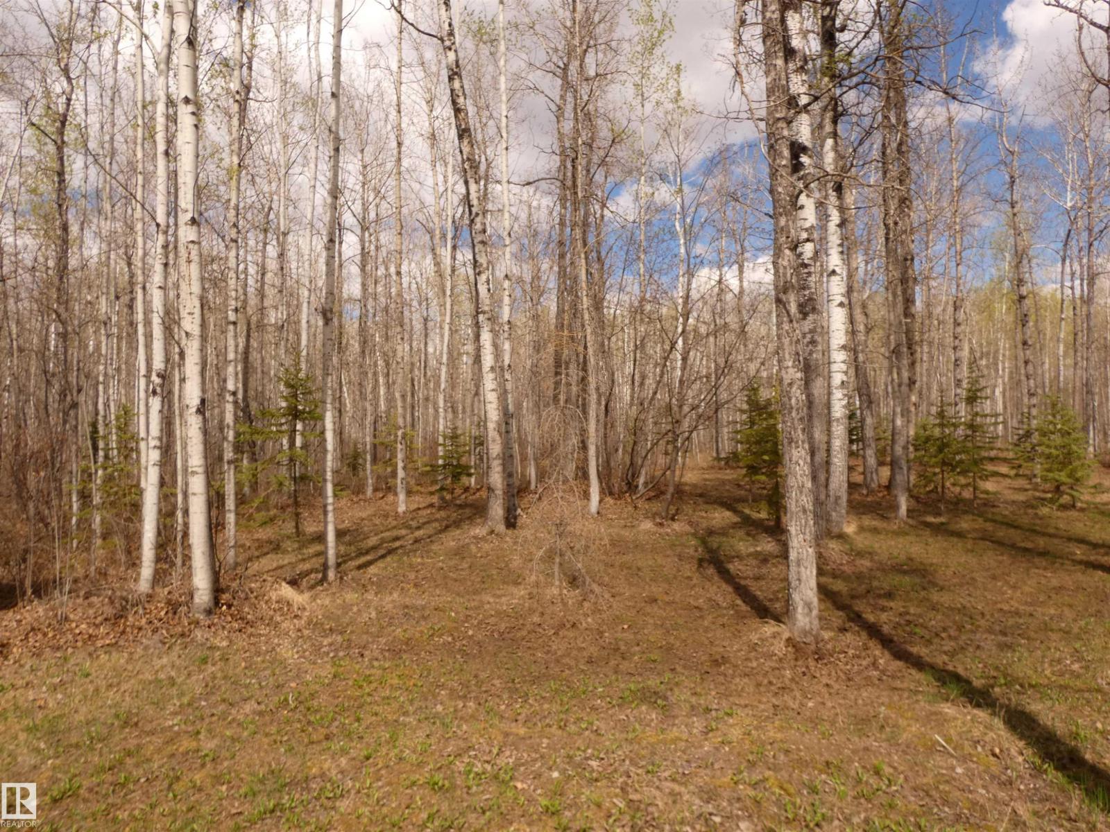 307 Willow PL - 21