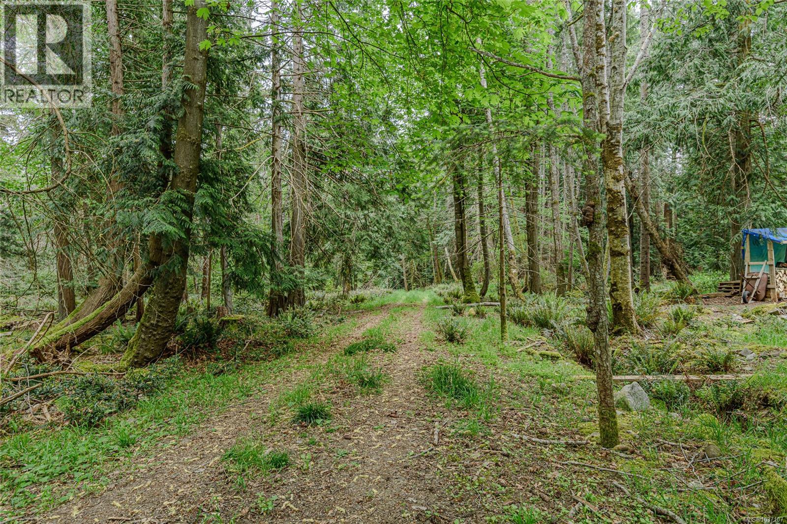 161 Holmes Rd - 26