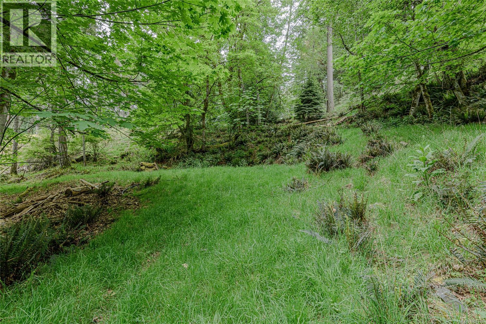 161 Holmes Rd - 44