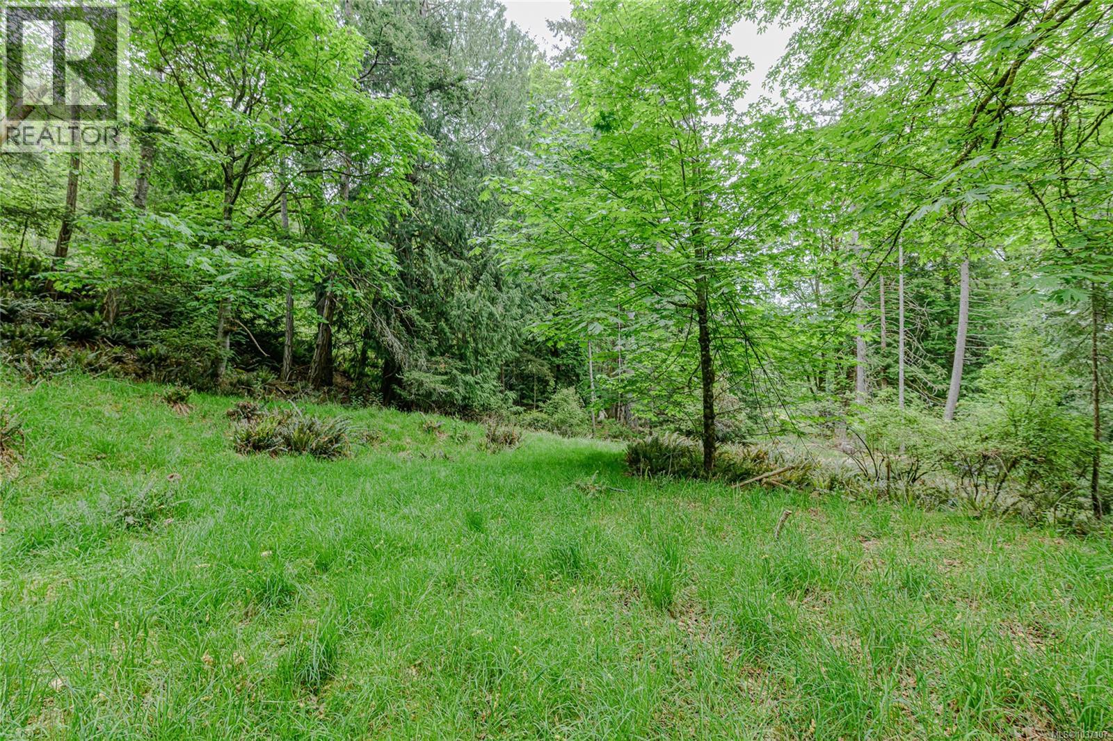 161 Holmes Rd - 46