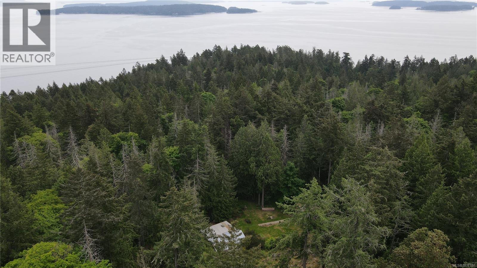 161 Holmes Rd - 51