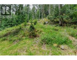 161 Holmes Rd, Salt Spring, BC V8K1T6 Photo 23
