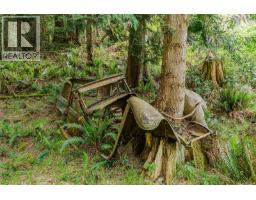 161 Holmes Rd, Salt Spring, BC V8K1T6 Photo 29