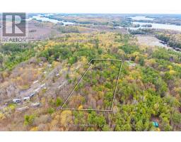 0 White's Road, Muskoka Lakes, ON P0B1J0 Photo 11