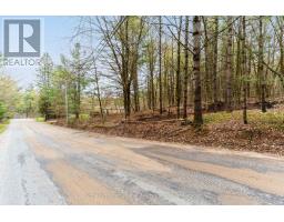 0 White's Road, Muskoka Lakes, ON P0B1J0 Photo 16