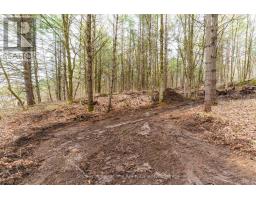 0 White's Road, Muskoka Lakes, ON P0B1J0 Photo 18