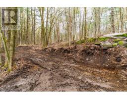 0 White's Road, Muskoka Lakes, ON P0B1J0 Photo 19