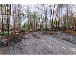 0 White's Road, Muskoka Lakes, ON P0B1J0 Photo 6