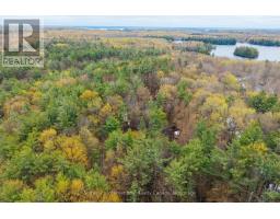 0 White's Road, Muskoka Lakes, ON P0B1J0 Photo 7