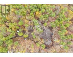 0 White's Road, Muskoka Lakes, ON P0B1J0 Photo 8