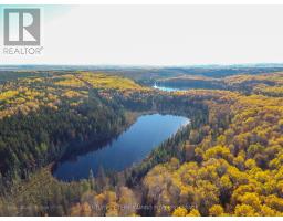 8 & 9 Beauchamp Rd 2 Road, Timiskaming, ON P0J1E0 Photo 13