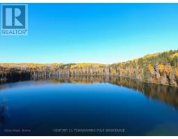 8 & 9 Beauchamp Rd 2 Road, Timiskaming, ON P0J1E0 Photo 6